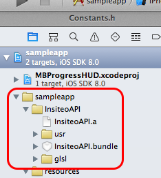 iOS project integration
